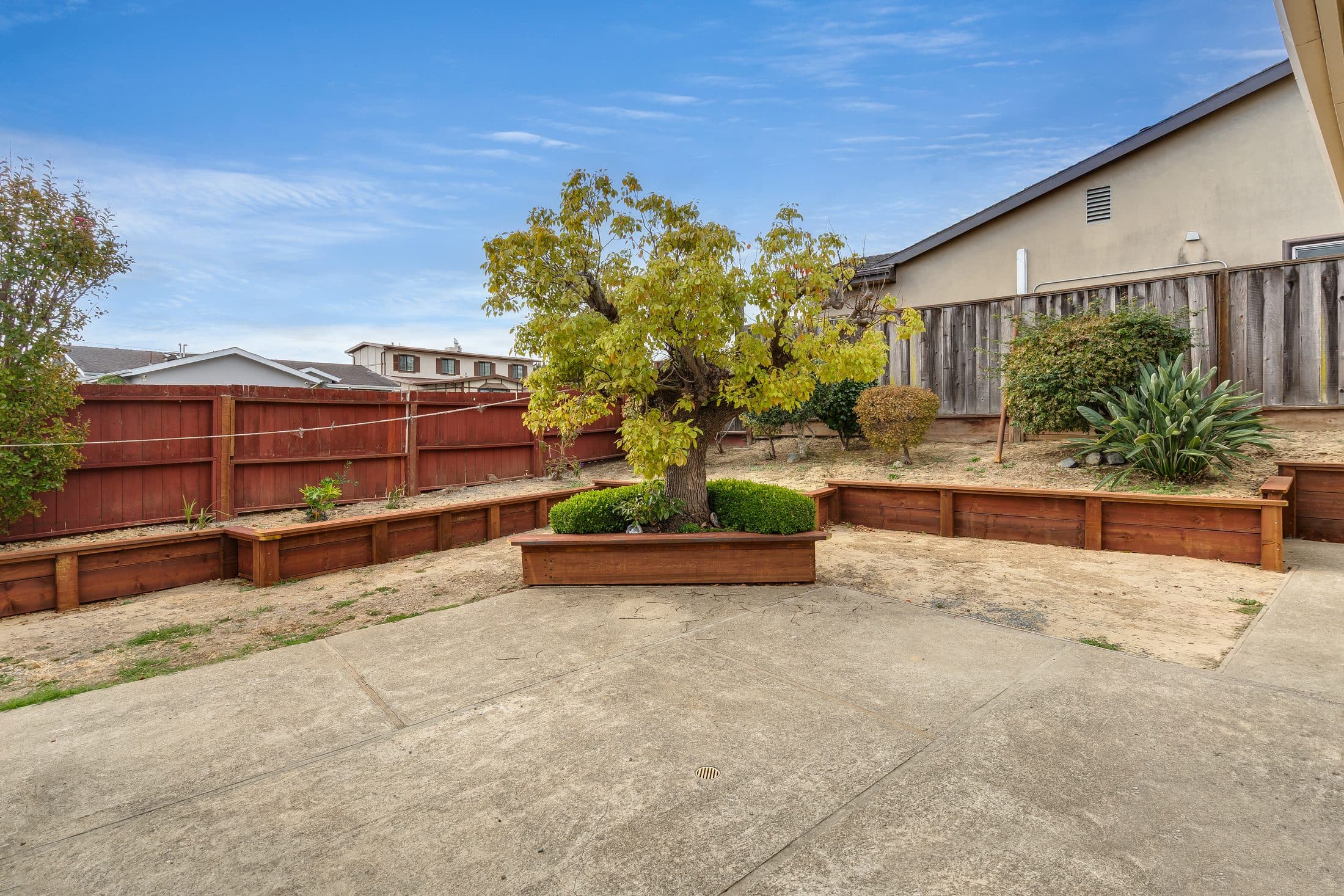 898 Lomita Avenue. The back yard, with a mature tree in a raised planter.
