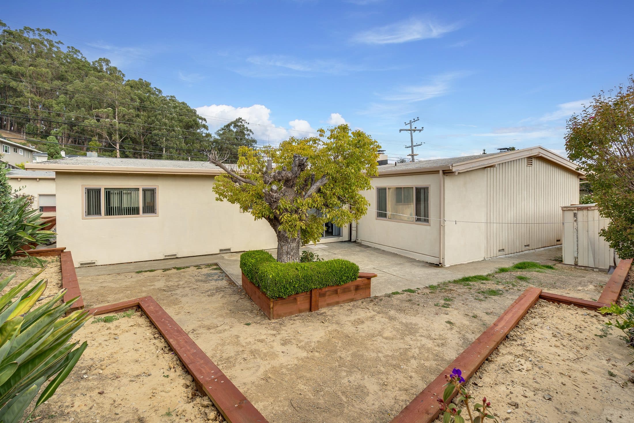 898 Lomita Avenue. The back yard, with wooded hills beyond.